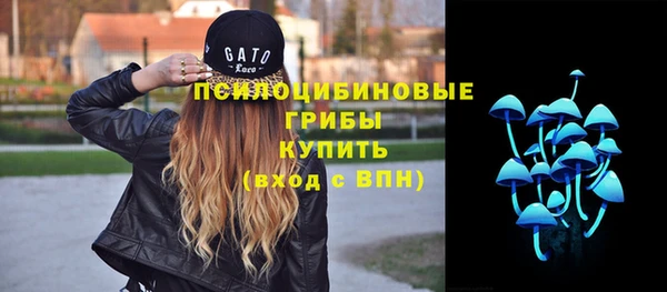 ГАЛЛЮЦИНОГЕННЫЕ ГРИБЫ Дмитров