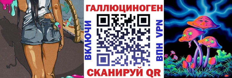 Псилоцибиновые грибы Psilocybine cubensis Дмитров