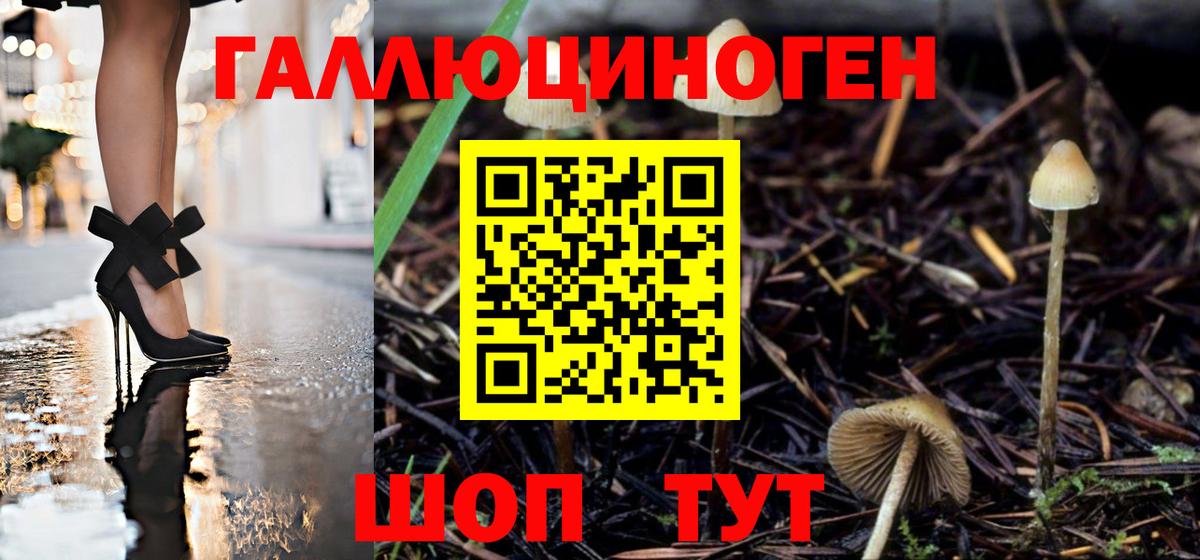 Дмитров  где найти наркотики  Галлюциногенные грибы ЛСД  Вход с VPN  Псилоцибиновые грибы мицелий 