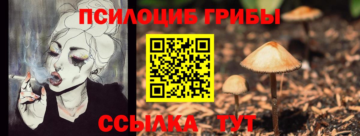 Галлюциногенные грибы мицелий Дмитров