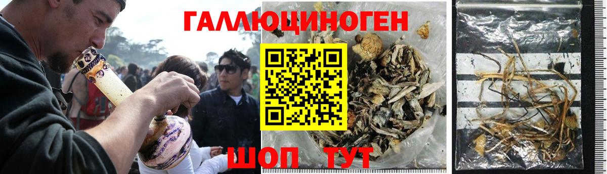 Псилоцибиновые грибы GOLDEN TEACHER  Дмитров 