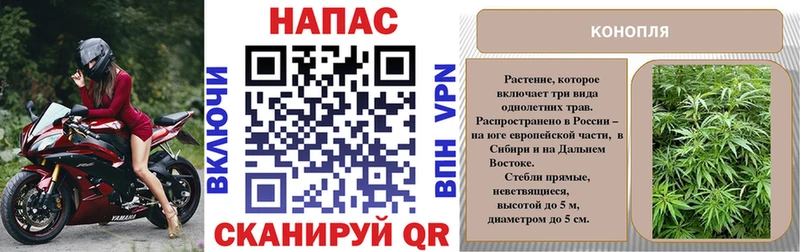 Шишки марихуана OG Kush  закладка  мориарти формула  Дмитров 